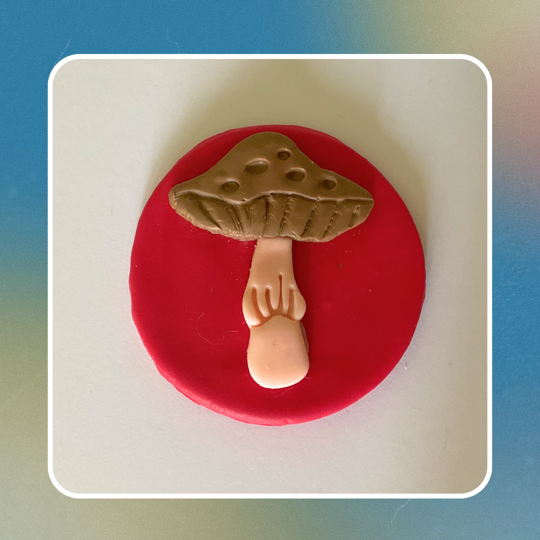 Bric à brac champignon, pour les adorateurs de fongique – Image 6